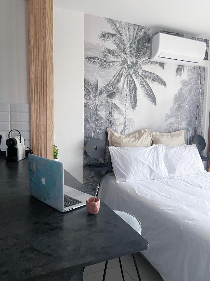 Un Palmier Dans La Chambre, Studio De Standing Cayenne Eksteriør billede